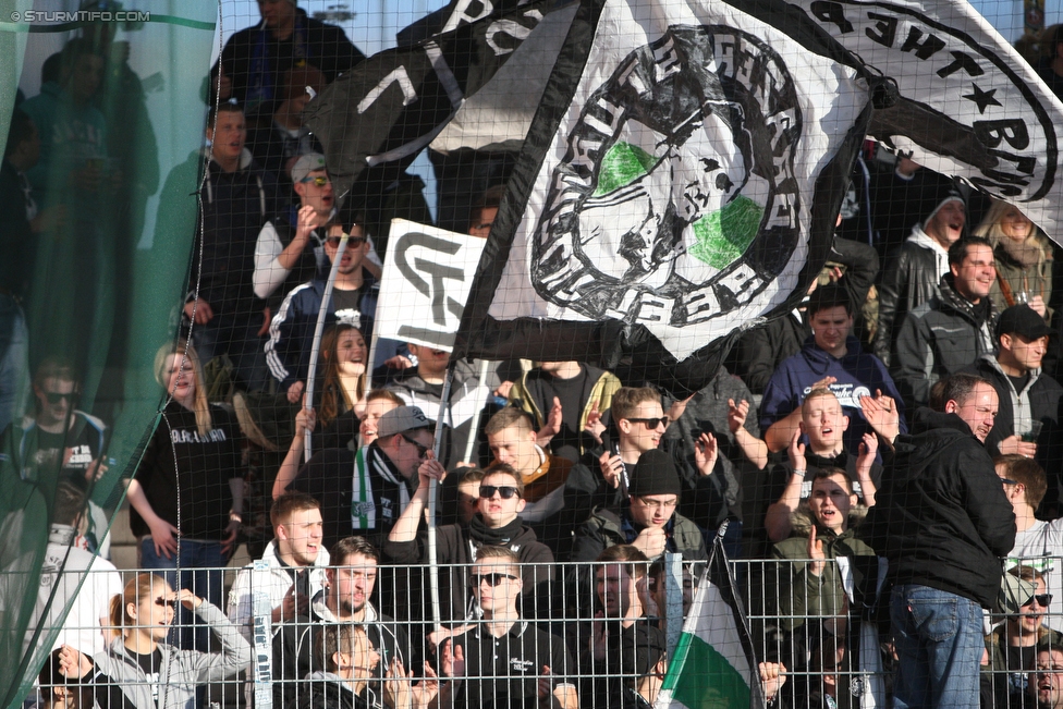 Ried - Sturm Graz
Oesterreichische Fussball Bundesliga, 24. Runde, SV Ried - SK Sturm Graz, Arena Ried, 27.02.2016. 

Foto zeigt Fans von Sturm
