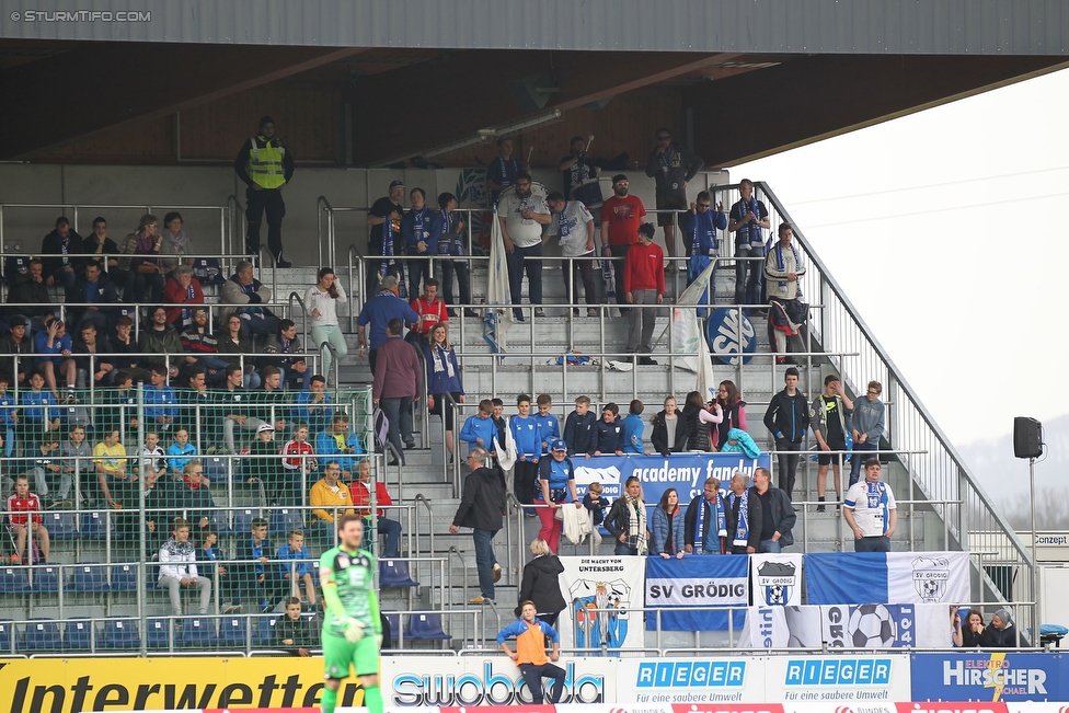 Groedig - Sturm Graz
Oesterreichische Fussball Bundesliga, 29. Runde, SV Groedig - SK Sturm Graz, Untersbergarena Groedig, 02.04.2016. 

Foto zeigt Fans von Groedig
