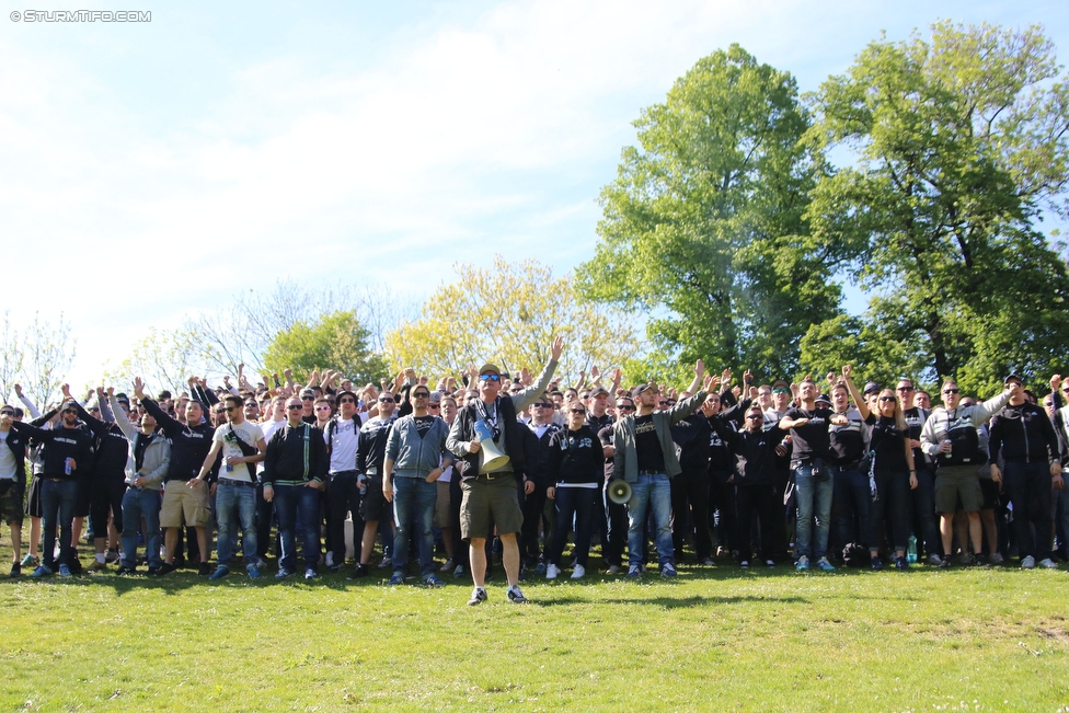 Sturm Graz - Ried
Oesterreichische Fussball Bundesliga, 33. Runde, SK Sturm Graz - SV Ried, Stadion Liebenau Graz, 30.04.2016. 

Foto zeigt Fans von Sturm beim Augartenpicknick
