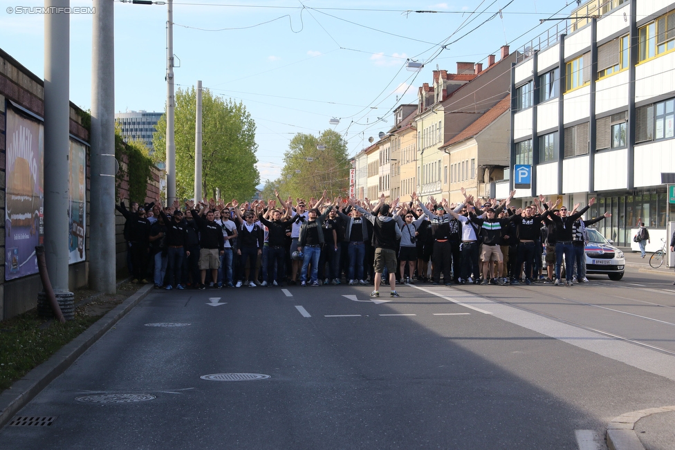 Sturm Graz - Ried
Oesterreichische Fussball Bundesliga, 33. Runde, SK Sturm Graz - SV Ried, Stadion Liebenau Graz, 30.04.2016. 

Foto zeigt Fans von Sturm beim Corteo
Schlüsselwörter: pyrotechnik