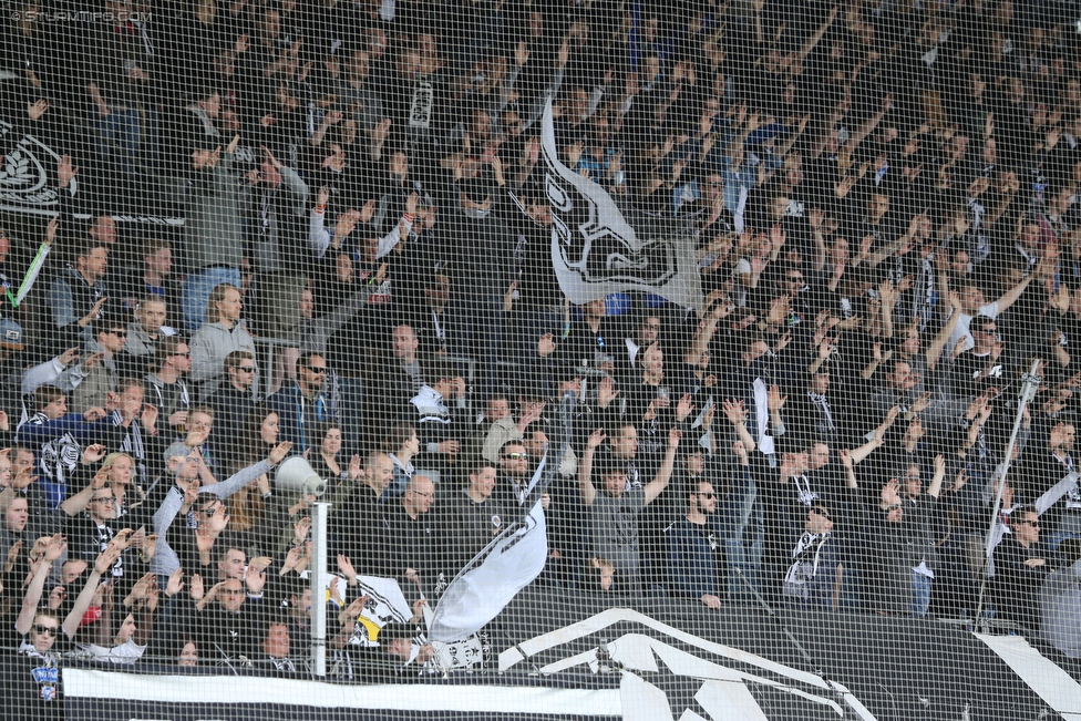 Sturm Graz - Ried
Oesterreichische Fussball Bundesliga, 33. Runde, SK Sturm Graz - SV Ried, Stadion Liebenau Graz, 30.04.2016. 

Foto zeigt Fans von Sturm
