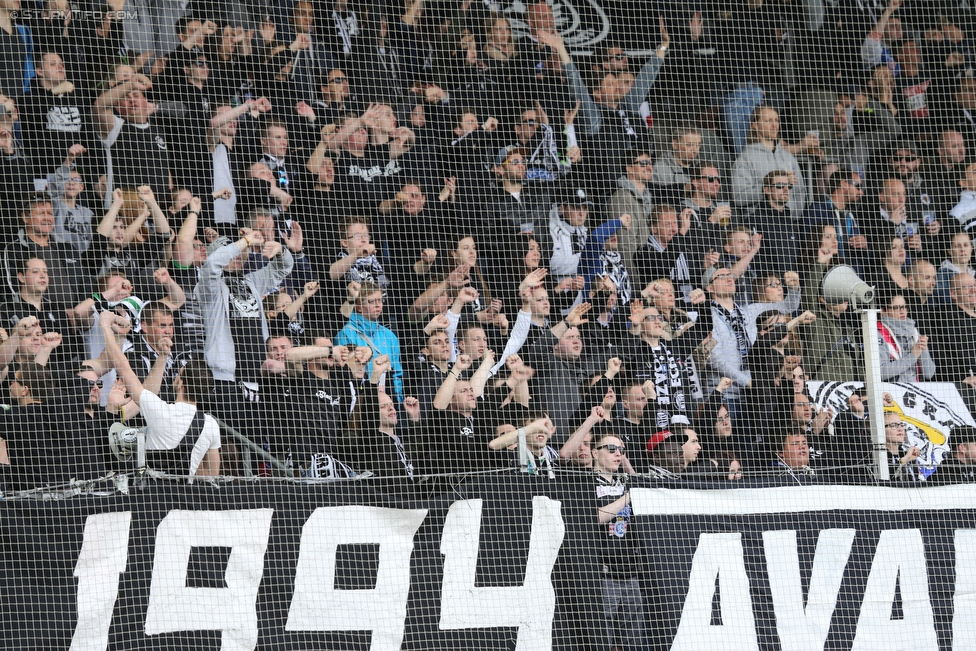 Sturm Graz - Ried
Oesterreichische Fussball Bundesliga, 33. Runde, SK Sturm Graz - SV Ried, Stadion Liebenau Graz, 30.04.2016. 

Foto zeigt Fans von Sturm
