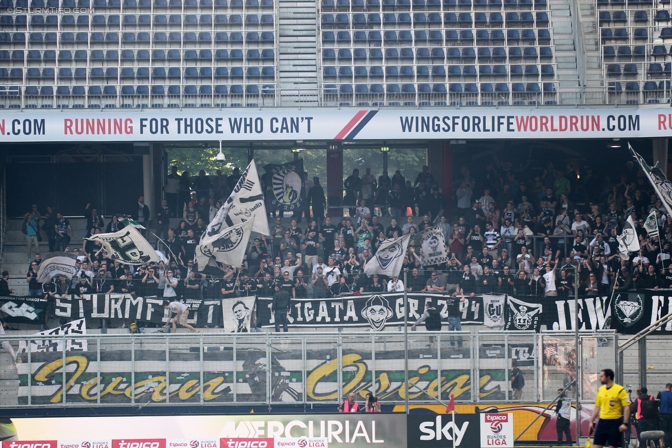 Salzburg - Sturm Graz
Oesterreichische Fussball Bundesliga, 34. Runde, FC RB Salzburg - SK Sturm Graz, Stadion Wals-Siezenheim, 07.05.2016. 

Foto zeigt Fans von Sturm
