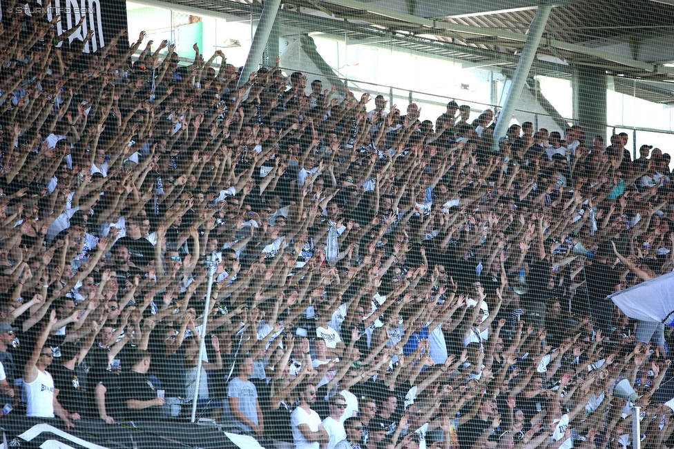 Sturm Graz - Austria Wien
Oesterreichische Fussball Bundesliga, 4. Runde, SK Sturm Graz - FK Austria Wien, Stadion Liebenau Graz, 14.08.2016. 

Foto zeigt Fans von Sturm
