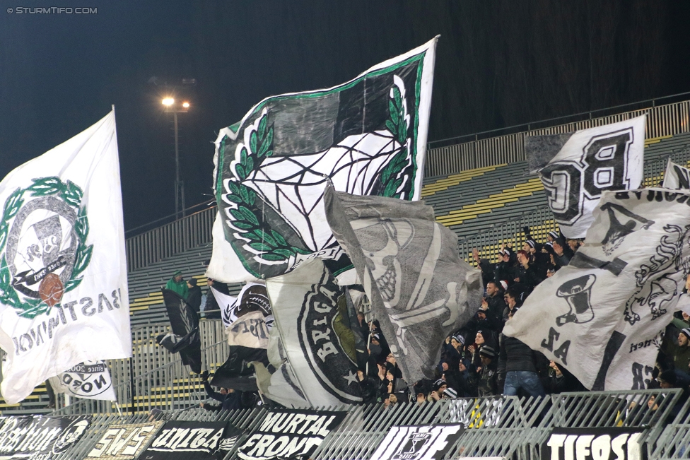 Mattersburg - Sturm Graz
Oesterreichische Fussball Bundesliga, 19. Runde, SV Mattersburg - SK Sturm Graz, Pappelstadion Mattersburg, 11.02.2017. 

Foto zeigt Fans von Sturm
