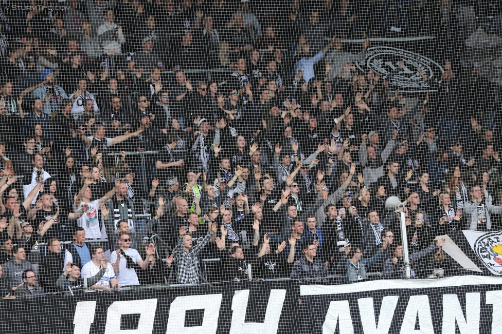 Sturm Graz - Mattersburg
Oesterreichische Fussball Bundesliga, 30. Runde, SK Sturm Graz - SV Mattersburg, Stadion Liebenau Graz, 22.04.2017. 

Foto zeigt Fans von Sturm
