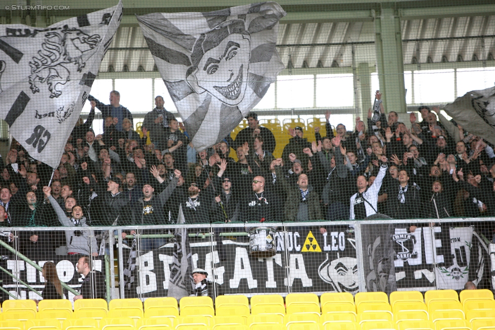 Austria Wien - Sturm Graz
Oesterreichische Fussball Bundesliga, 31. Runde, FK Austria Wien - SK Sturm Graz, Ernst Happel Stadion Wien, 29.04.2017. 

Foto zeigt Fans von Sturm
