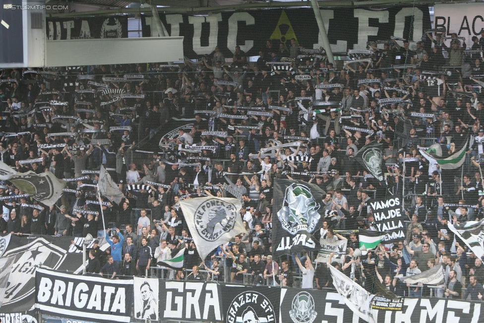 Sturm Graz - St. Poelten
Oesterreichische Fussball Bundesliga, 32. Runde, SK Sturm Graz - SKN St. Poelten, Stadion Liebenau Graz, 06.05.2017. 

Foto zeigt Fans von Sturm
