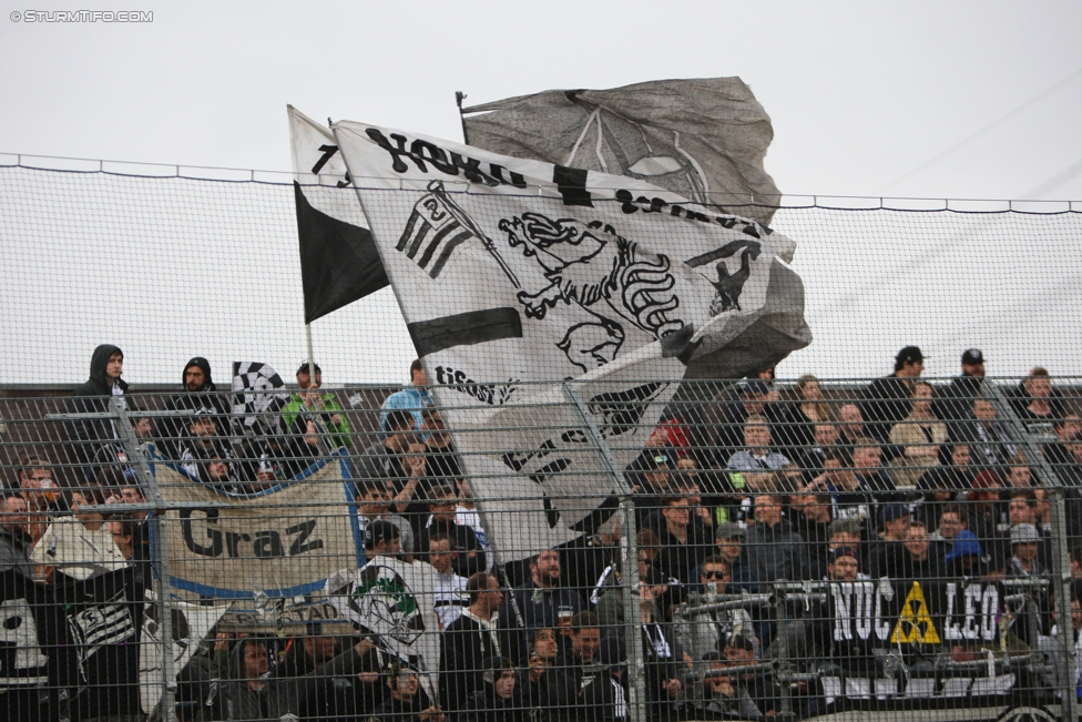 Altach - Sturm Graz
Oesterreichische Fussball Bundesliga, 33. Runde, SC Rheindorf Altach - SK Sturm Graz, Stadion Schnabelholz Altach, 14.05.2017. 

Foto zeigt Fans von Sturm
