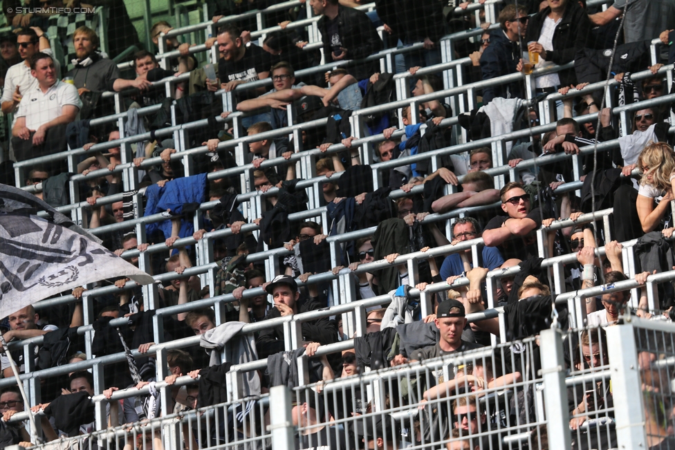 Rapid Wien - Sturm Graz
Oesterreichische Fussball Bundesliga, 34. Runde, SK Rapid Wien - SK Sturm Graz, Weststadion Wien, 21.05.2017. 

Foto zeigt Fans von Sturm
