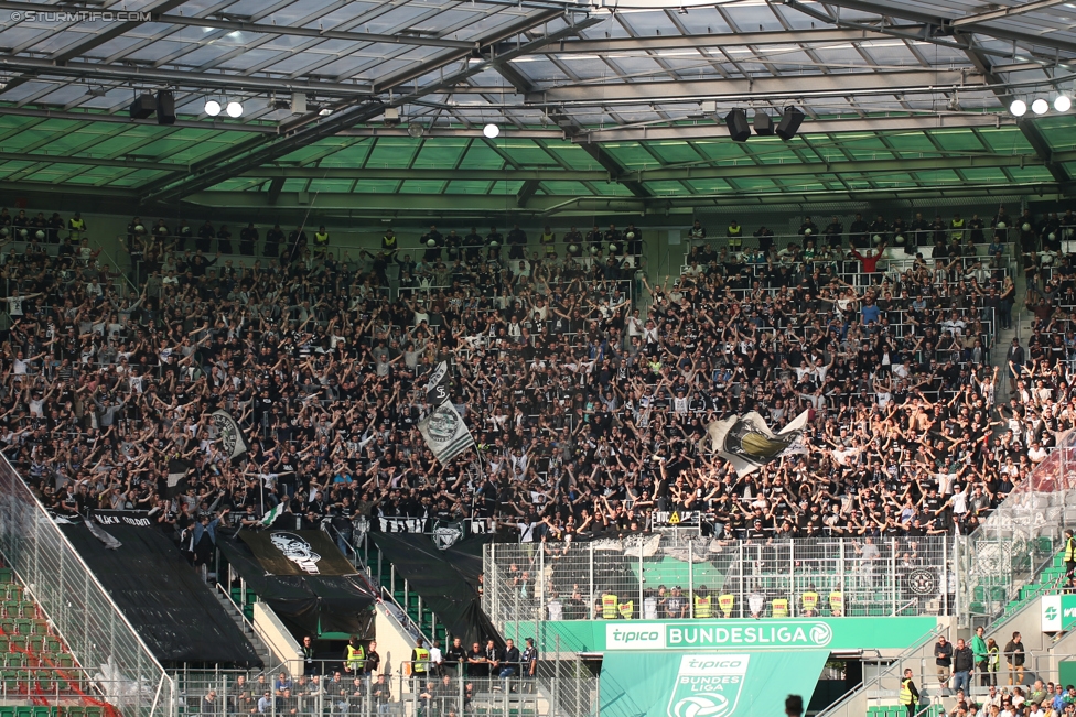 Rapid Wien - Sturm Graz
Oesterreichische Fussball Bundesliga, 34. Runde, SK Rapid Wien - SK Sturm Graz, Weststadion Wien, 21.05.2017. 

Foto zeigt Fans von Sturm
