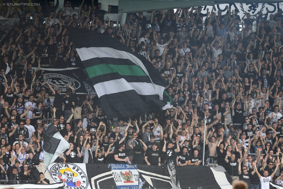 Sturm Graz - Admira Wacker
Oesterreichische Fussball Bundesliga, 35. Runde, SK Sturm Graz - FC Admira Wacker Moedling, Stadion Liebenau Graz, 25.05.2017. 

Foto zeigt Fans von Sturm
