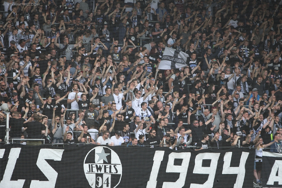 Sturm Graz - Admira Wacker
Oesterreichische Fussball Bundesliga, 35. Runde, SK Sturm Graz - FC Admira Wacker Moedling, Stadion Liebenau Graz, 25.05.2017. 

Foto zeigt Fans von Sturm
