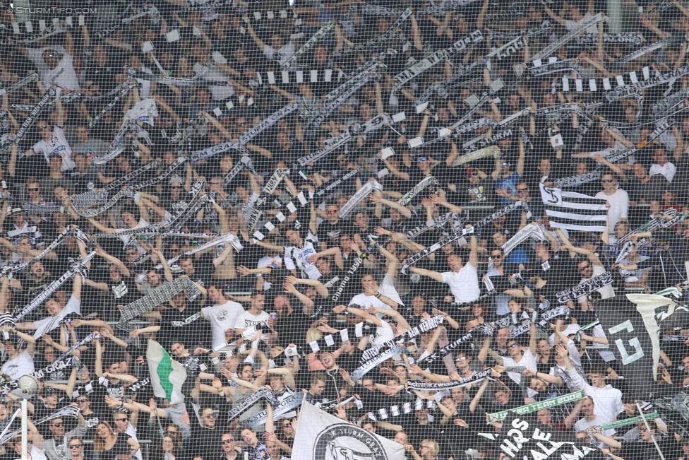 Sturm Graz - Admira Wacker
Oesterreichische Fussball Bundesliga, 35. Runde, SK Sturm Graz - FC Admira Wacker Moedling, Stadion Liebenau Graz, 25.05.2017. 

Foto zeigt Fans von Sturm
