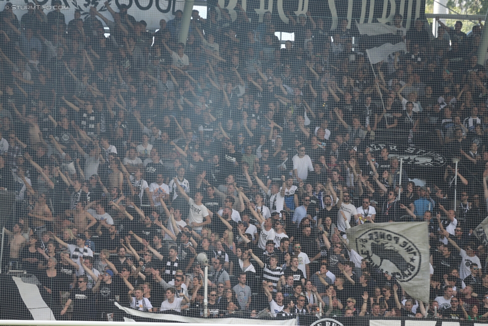 Sturm Graz - Admira Wacker
Oesterreichische Fussball Bundesliga, 35. Runde, SK Sturm Graz - FC Admira Wacker Moedling, Stadion Liebenau Graz, 25.05.2017. 

Foto zeigt Fans von Sturm
