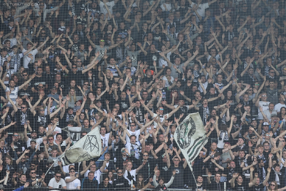 Sturm Graz - Admira Wacker
Oesterreichische Fussball Bundesliga, 35. Runde, SK Sturm Graz - FC Admira Wacker Moedling, Stadion Liebenau Graz, 25.05.2017. 

Foto zeigt Fans von Sturm
