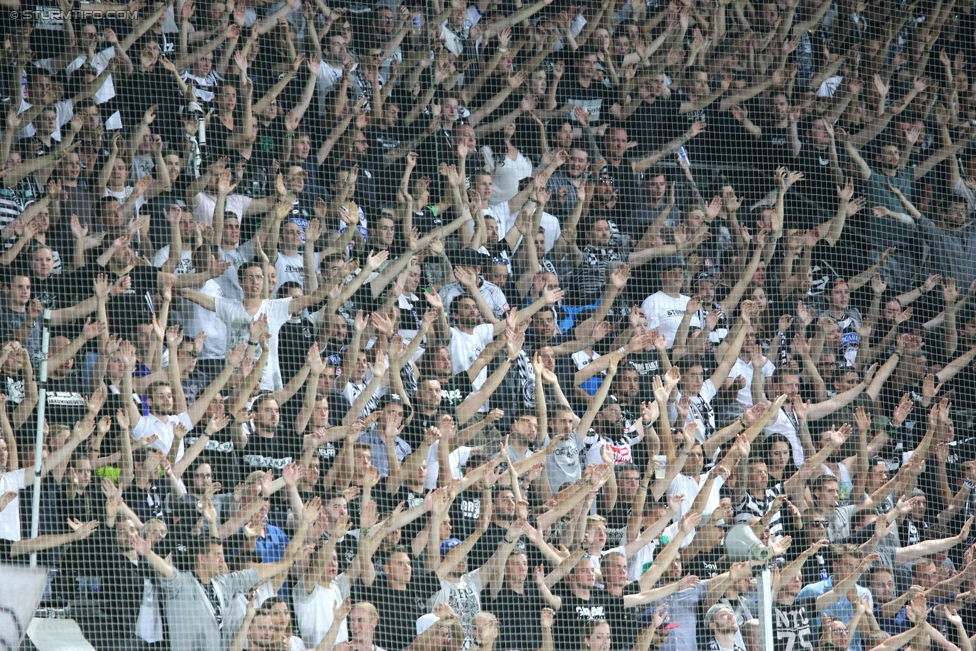 Sturm Graz - Podgorica
UEFA Europa League Qualifikation 2. Runde, SK Sturm Graz -  FK Mladost Podgorica, Stadion Liebenau Graz, 13.07.2017. 

Foto zeigt Fans von Sturm
