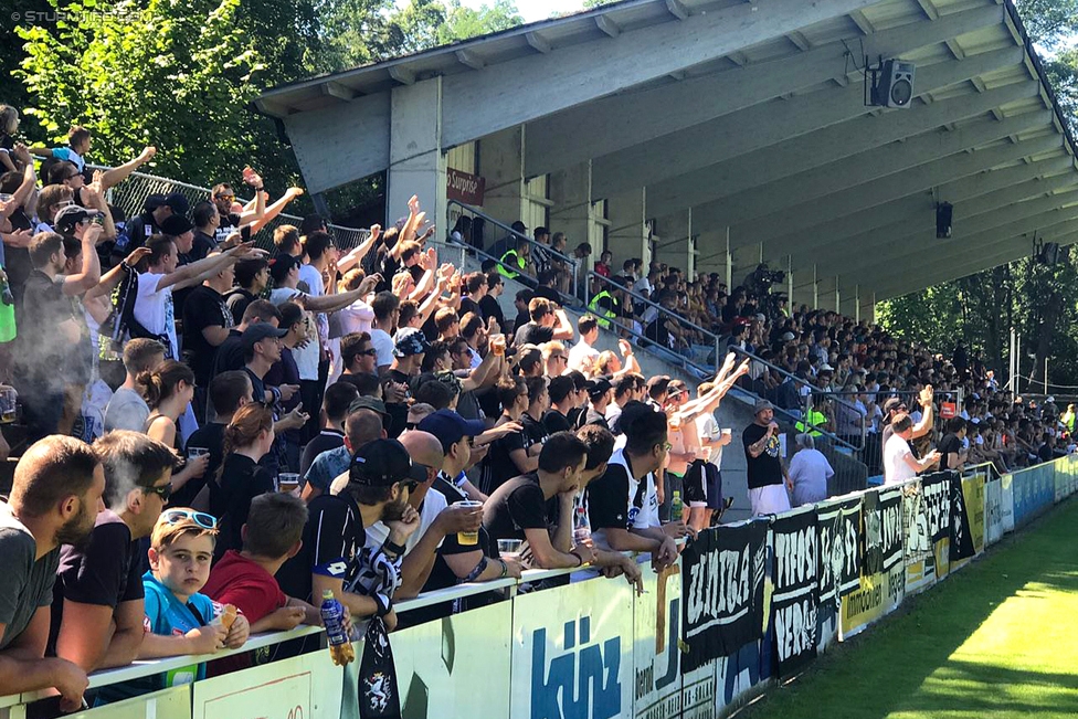 Hard - Sturm Graz
OEFB Cup, 1. Runde, FC Hard - SK Sturm Graz, Waldstadion Hard, 16.07.2017. 

Foto zeigt Fans von Sturm
