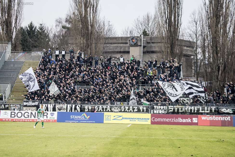 Mattersburg - Sturm Graz
Oesterreichische Fussball Bundesliga, 21. Runde, SV Mattersburg - SK Sturm Graz, Pappelstadion Mattersburg, 03.02.2018. 

Foto zeigt Fans von Sturm
