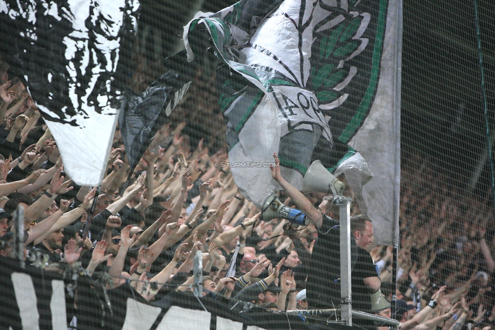 Sturm Graz - Rapid Wien
OEFB Cup, Halbfinale, SK Sturm Graz - SK Rapid Wien, Stadion Liebenau Graz, 18.04.2018. 

Foto zeigt Fans von Sturm
