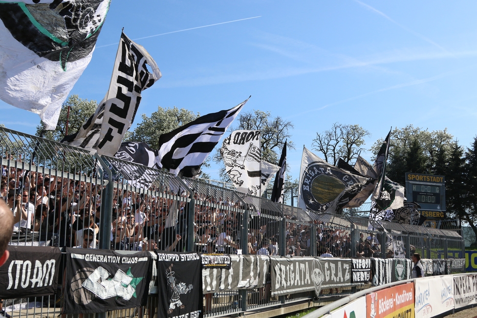 Wolfsberg - Sturm Graz
Oesterreichische Fussball Bundesliga, 31. Runde, Wolfsberger AC - SK Sturm Graz, Lavanttal Arena Wolfsberg, 21.04.2018. 

Foto zeigt Fans von Sturm
