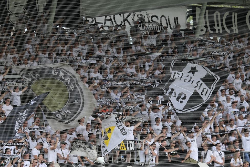 Sturm Graz - LASK
Oesterreichische Fussball Bundesliga, 34. Runde, SK Sturm Graz - LASK, Stadion Liebenau Graz, 12.05.2018. 

Foto zeigt Fans von Sturm
