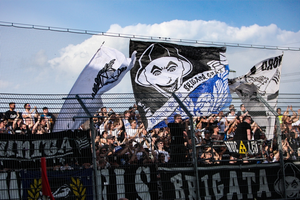 Altach - Sturm Graz
Oesterreichische Fussball Bundesliga, 36. Runde, SC Rheindorf Altach - SK Sturm Graz, Stadion Schnabelholz Altach, 27.05.2018. 

Foto zeigt Fans von Sturm
