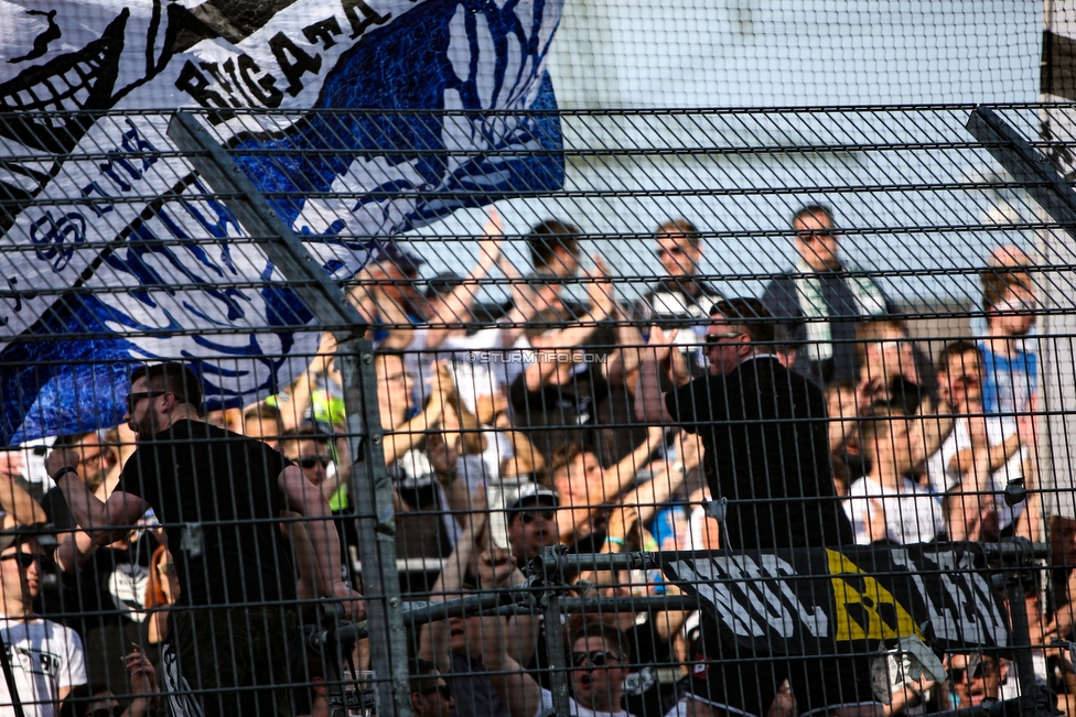 Altach - Sturm Graz
Oesterreichische Fussball Bundesliga, 36. Runde, SC Rheindorf Altach - SK Sturm Graz, Stadion Schnabelholz Altach, 27.05.2018. 

Foto zeigt Fans von Sturm
