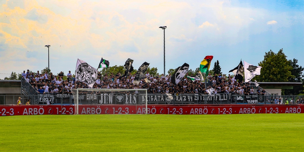 Siegendorf - Sturm Graz
OEFB Cup, 1. Runde, ASV Siegendorf - SK Sturm Graz, Heidenboden Stadion Parndorf, 21.07.2018. 

Foto zeigt Fans von Sturm
