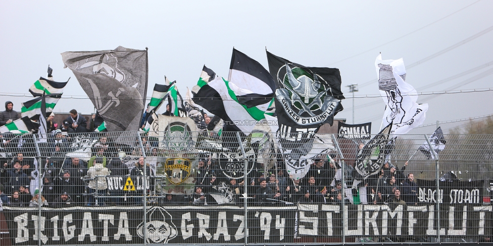 Altach - Sturm Graz
Oesterreichische Fussball Bundesliga, 15. Runde, SCR Altach - SK Sturm Graz, Stadion Schnabelholz Altach, 25.11.2018. 

Foto zeigt Fans von Sturm
