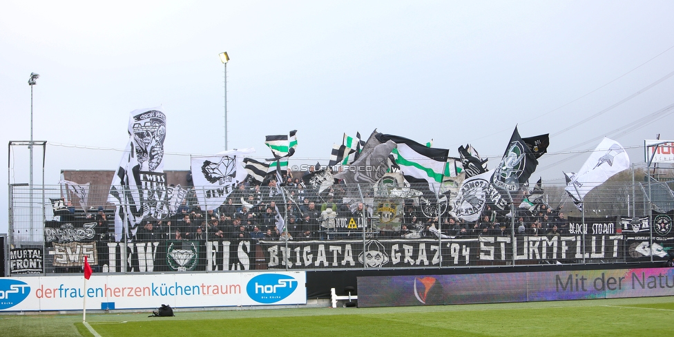 Altach - Sturm Graz
Oesterreichische Fussball Bundesliga, 15. Runde, SCR Altach - SK Sturm Graz, Stadion Schnabelholz Altach, 25.11.2018. 

Foto zeigt Fans von Sturm
