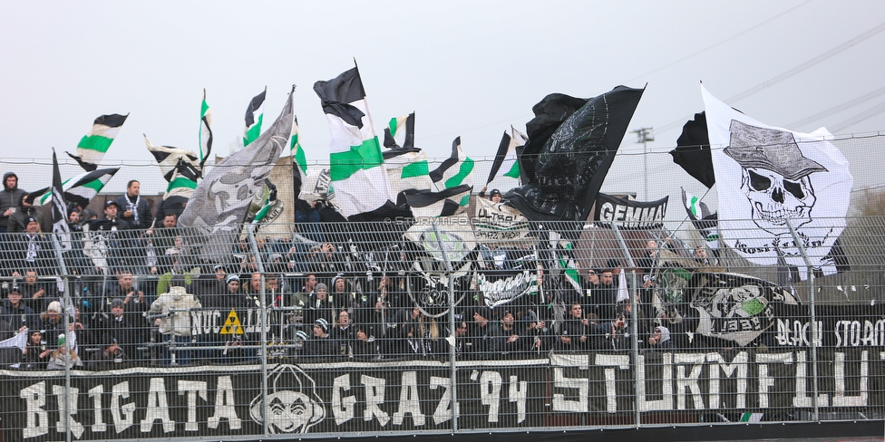 Altach - Sturm Graz
Oesterreichische Fussball Bundesliga, 15. Runde, SCR Altach - SK Sturm Graz, Stadion Schnabelholz Altach, 25.11.2018. 

Foto zeigt Fans von Sturm
