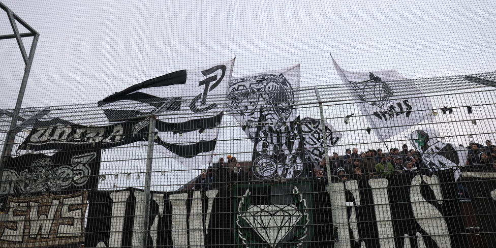 Altach - Sturm Graz
Oesterreichische Fussball Bundesliga, 15. Runde, SCR Altach - SK Sturm Graz, Stadion Schnabelholz Altach, 25.11.2018. 

Foto zeigt Fans von Sturm
