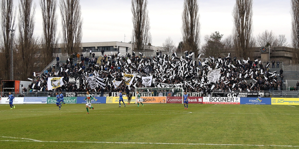 Mattersburg - Sturm Graz
Oesterreichische Fussball Bundesliga, 19. Runde, SV Mattersburg - SK Sturm Graz, Pappelstadion Mattersburg, 24.02.2019. 

Foto zeigt Fans von Sturm mit einer Choreografie
