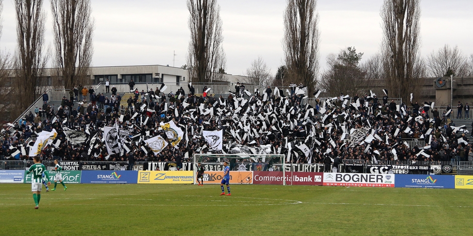 Mattersburg - Sturm Graz
Oesterreichische Fussball Bundesliga, 19. Runde, SV Mattersburg - SK Sturm Graz, Pappelstadion Mattersburg, 24.02.2019. 

Foto zeigt Fans von Sturm mit einer Choreografie
