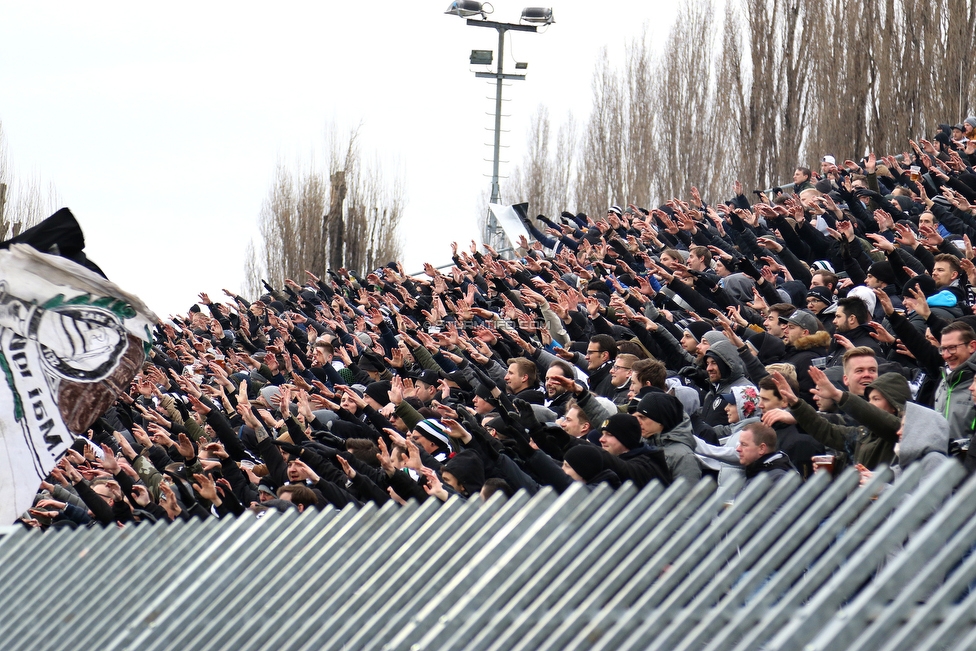 Mattersburg - Sturm Graz
Oesterreichische Fussball Bundesliga, 19. Runde, SV Mattersburg - SK Sturm Graz, Pappelstadion Mattersburg, 24.02.2019. 

Foto zeigt Fans von Sturm
