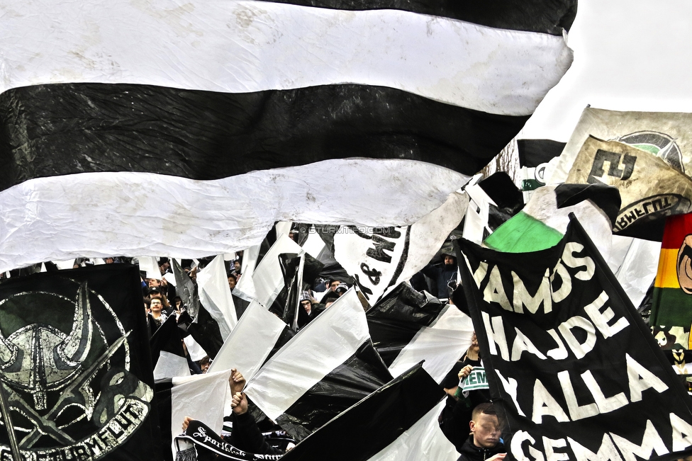 Mattersburg - Sturm Graz
Oesterreichische Fussball Bundesliga, 19. Runde, SV Mattersburg - SK Sturm Graz, Pappelstadion Mattersburg, 24.02.2019. 

Foto zeigt Fans von Sturm
