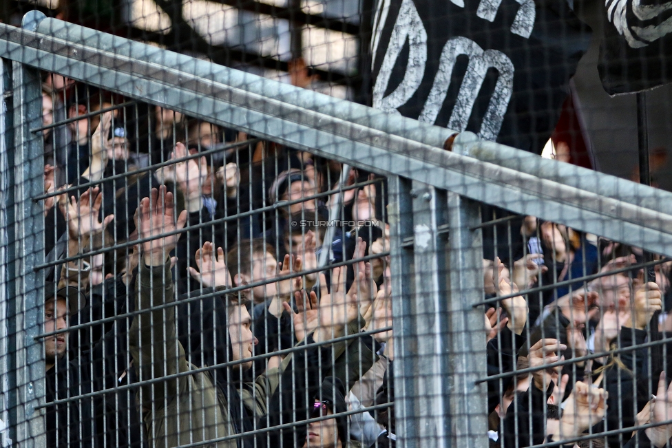 RB Salzburg - Sturm Graz
Oesterreichische Fussball Bundesliga, 21. Runde, FC RB Salzburg - SK Sturm Graz, Stadion Wals-Siezenheim, 10.03.2019. 

Foto zeigt Fans von Sturm
