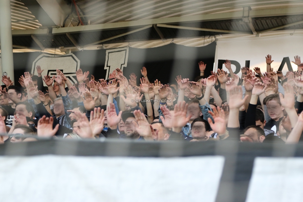 Sturm Graz - Austria Wien
Oesterreichische Fussball Bundesliga, 22. Runde, SK Sturm Graz - FK Austria Wien, Stadion Liebenau Graz, 17.03.2019. 

Foto zeigt Fans von Sturm
