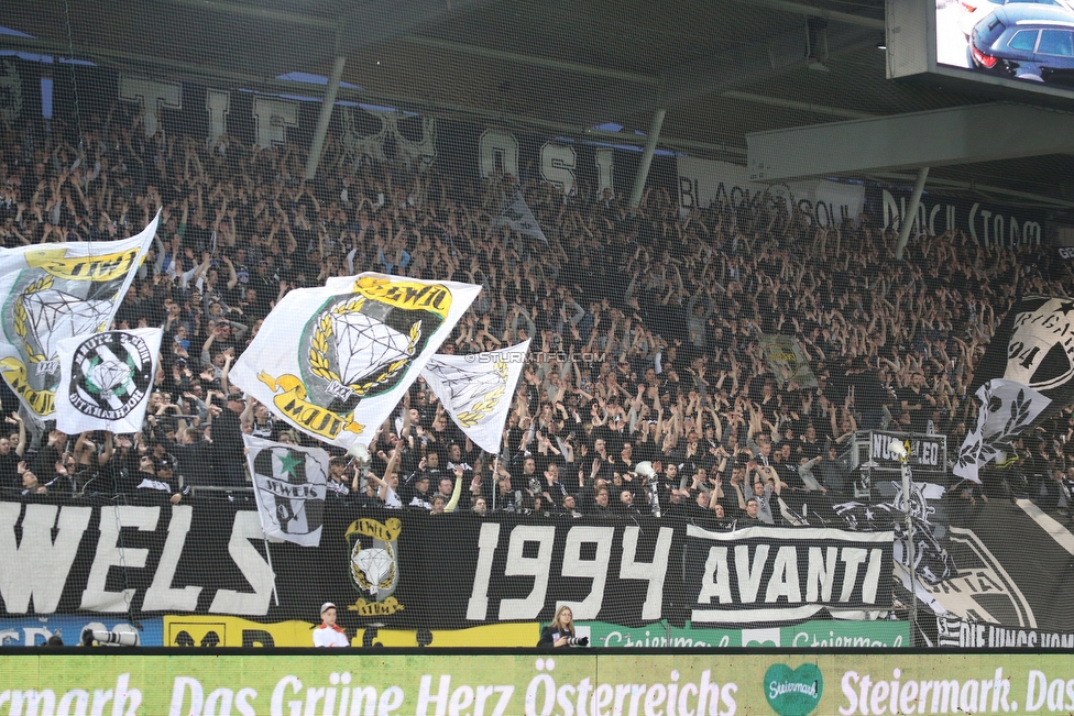 Sturm Graz - Austria Wien
Oesterreichische Fussball Bundesliga, 22. Runde, SK Sturm Graz - FK Austria Wien, Stadion Liebenau Graz, 17.03.2019. 

Foto zeigt Fans von Sturm
