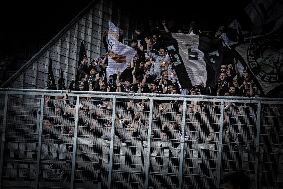 Austria Wien - Sturm Graz
Oesterreichische Fussball Bundesliga, 24. Runde, FK Austria Wien - SK Sturm Graz, Franz Horr Stadion Wien, 07.04.2019. 

Foto zeigt Fans von Sturm
