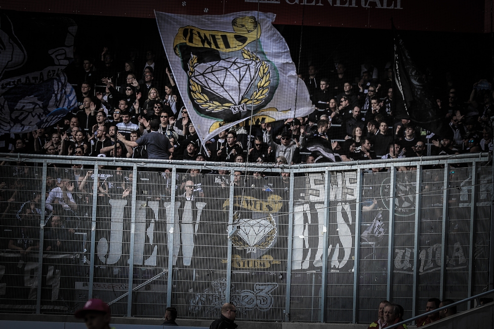 Austria Wien - Sturm Graz
Oesterreichische Fussball Bundesliga, 24. Runde, FK Austria Wien - SK Sturm Graz, Franz Horr Stadion Wien, 07.04.2019. 

Foto zeigt Fans von Sturm
