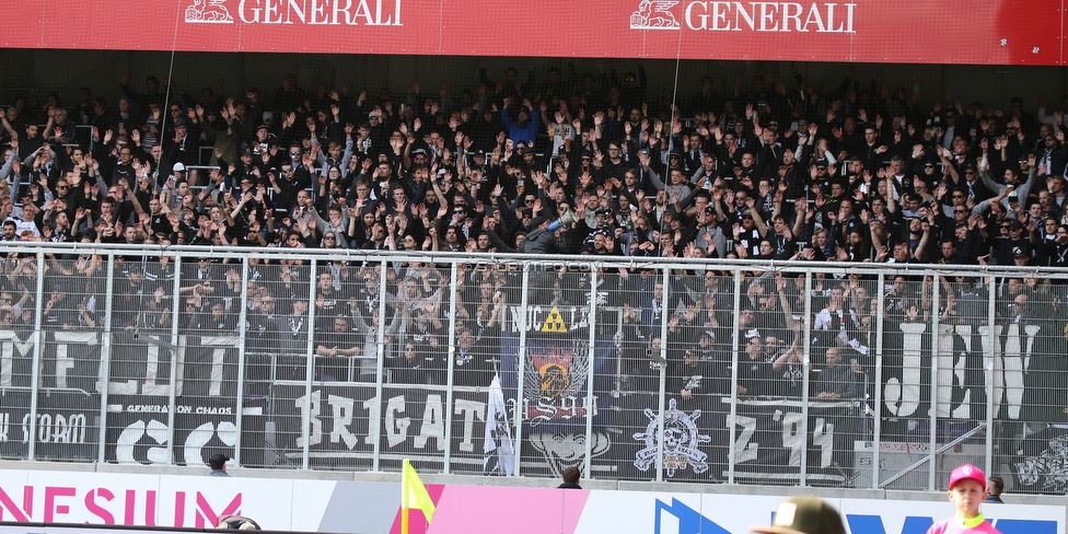 Austria Wien - Sturm Graz
Oesterreichische Fussball Bundesliga, 24. Runde, FK Austria Wien - SK Sturm Graz, Franz Horr Stadion Wien, 07.04.2019. 

Foto zeigt Fans von Sturm
