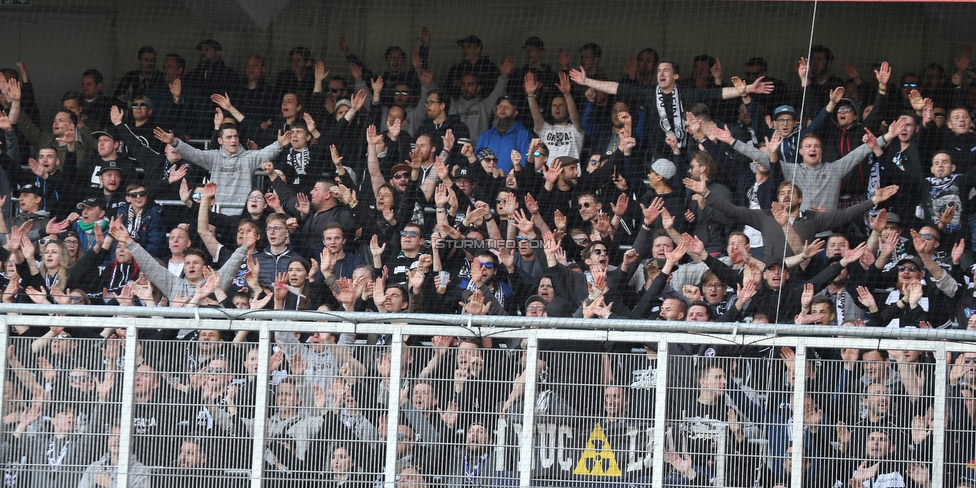 Austria Wien - Sturm Graz
Oesterreichische Fussball Bundesliga, 24. Runde, FK Austria Wien - SK Sturm Graz, Franz Horr Stadion Wien, 07.04.2019. 

Foto zeigt Fans von Sturm
