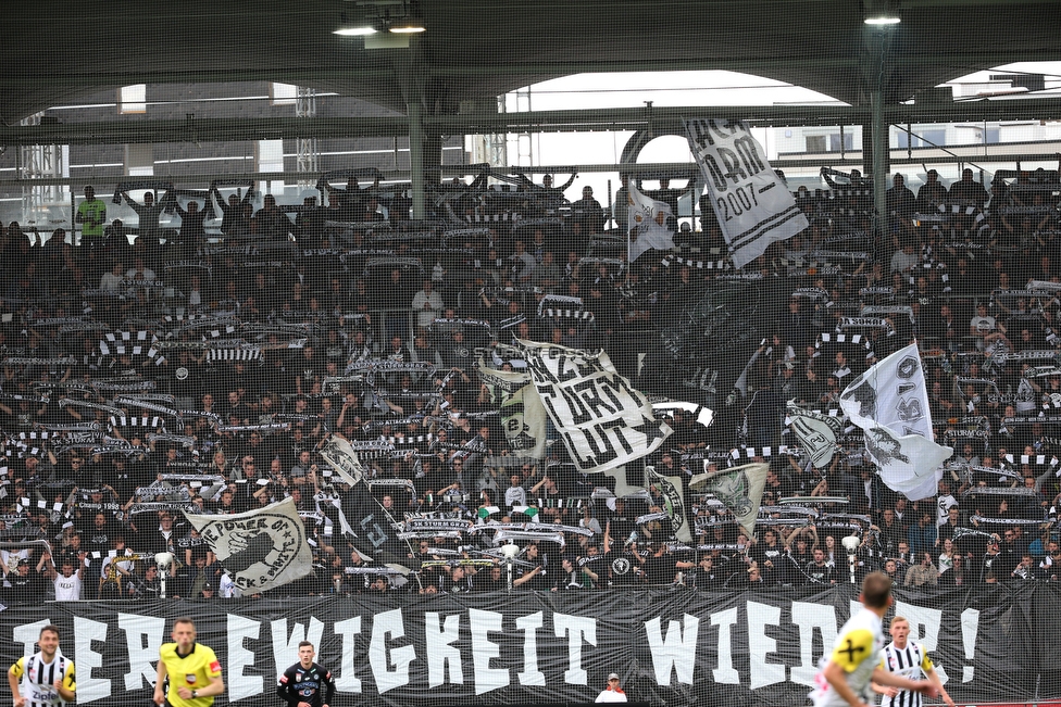 Sturm Graz - LASK
Oesterreichische Fussball Bundesliga, 28. Runde, SK Sturm Graz - LASK, Stadion Liebenau Graz, 28.04.2019. 

Foto zeigt Fans von Sturm
Schlüsselwörter: schals