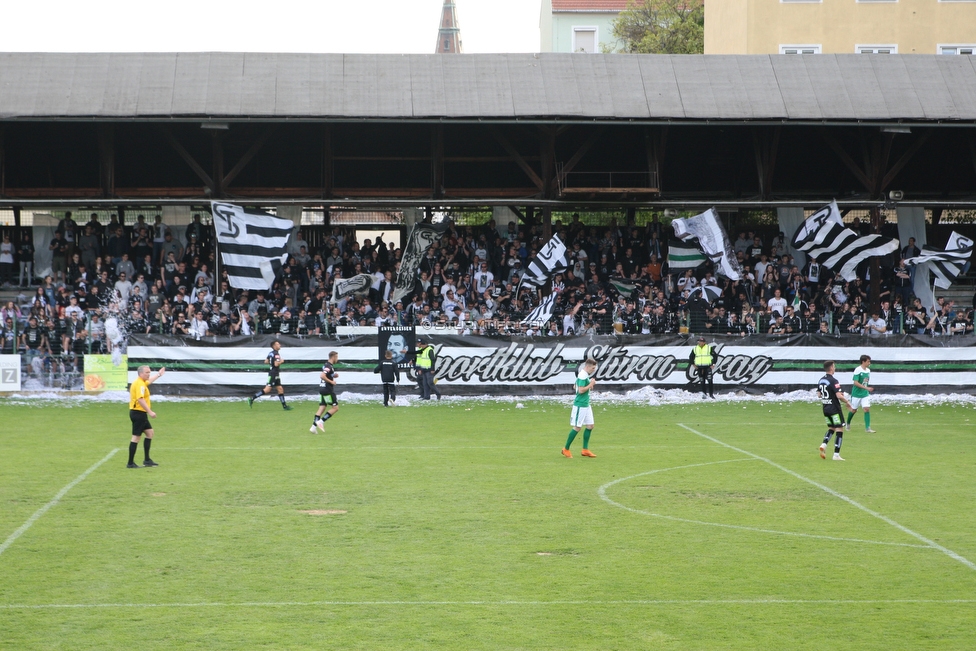 110 Jahre Sturm
110 Jahre SK Sturm Graz, Gruabn Graz, 01.05.2019.

Foto zeigt Fans von Sturm
