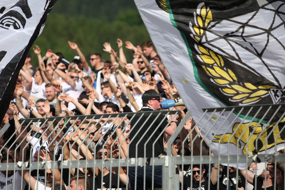 Wolfsberg - Sturm Graz
Oesterreichische Fussball Bundesliga, 32. Runde, Wolfsberger AC - SK Sturm Graz, Lavanttal Arena Wolfsberg, 26.05.2019. 

Foto zeigt Fans von Sturm
