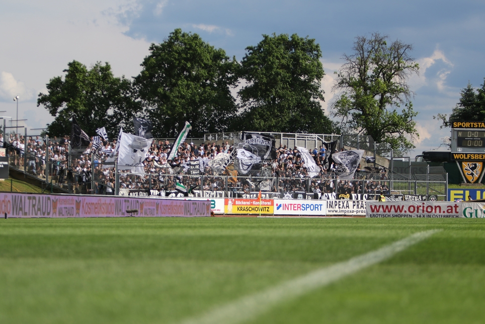 Wolfsberg - Sturm Graz
Oesterreichische Fussball Bundesliga, 32. Runde, Wolfsberger AC - SK Sturm Graz, Lavanttal Arena Wolfsberg, 26.05.2019. 

Foto zeigt Fans von Sturm
