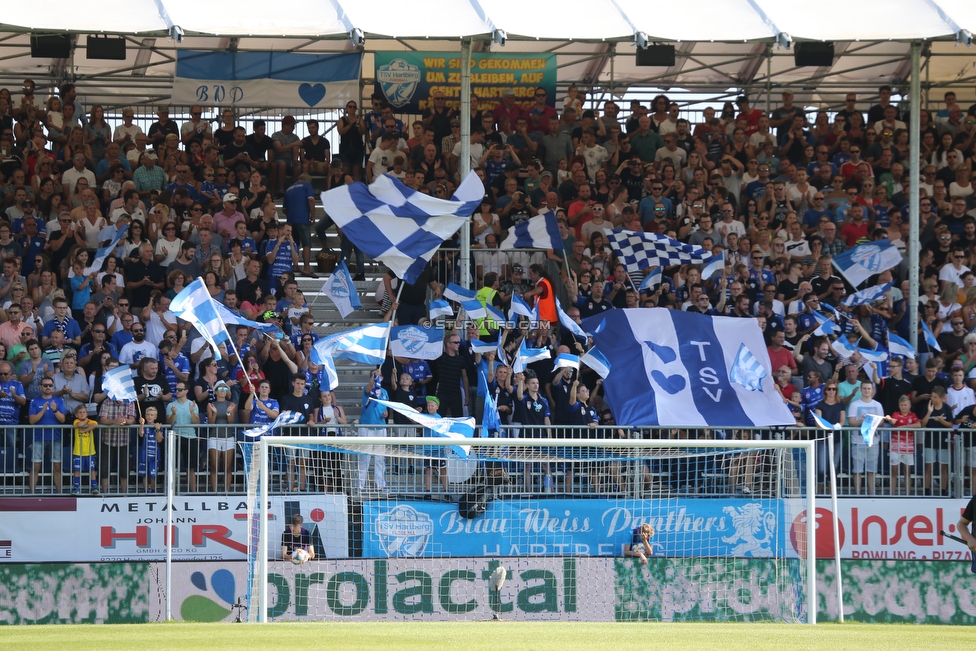 Hartberg - Sturm Graz
Oesterreichische Fussball Bundesliga, 3. Runde, TSV Hartberg - SK Sturm Graz, Stadion Hartberg, 1108.2019. 

Foto zeigt Fans von Hartberg
