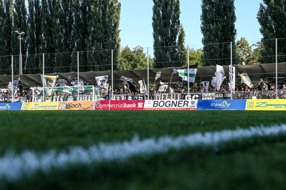 Mattersburg - Sturm Graz
Oesterreichische Fussball Bundesliga, 8. Runde, SV Mattersburg - SK Sturm Graz, Pappelstadion Mattersburg, 21.09.2019. 

Foto zeigt Fans von Sturm
